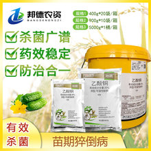 �p�ǃ|�εؾ�20%�����~���������������S������⧵�����������5KG