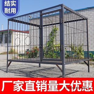 ����Ȯ�Ӵ�䓽�\�Ӻ�ӹ̿��g���F���\����ţ