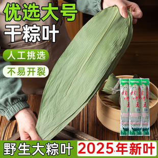 Dried Zongye Extra Large Zongye King Zongzi Leaf Fresh Bamboo Leaf Merchants Wholesale Zongzi Material