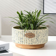 陶瓷花盆蝴蝶兰盆景新款大口径北欧风特大号居家室内盆栽