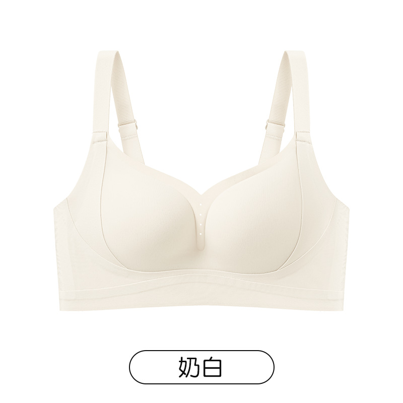 화이트