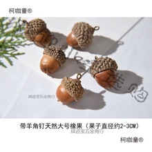 带橡果钉羊角很DIY手作天然橡子配件干果真的麦太保