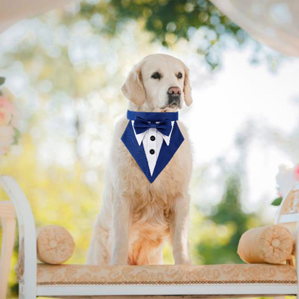 Fábrica en stock transfronterizo nuevo traje de rayas para mascotas toalla triangular guapo Toalla de saliva para mascotas Toalla de triángulo de boda