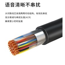 ���P10������100���󌦔���|BY-HYA100*2*0.4�Z��ͨ���Ԓ���|