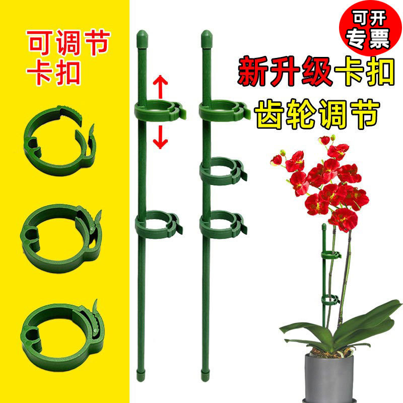 新升级多肉蝴蝶兰专用花架支架植物盆栽花卉造型支撑杆固定护叶架