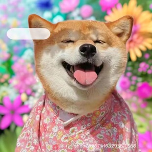 ���N�ձ���Ȯ��HȮ��Ȯ���w����������ȮС���o�lȮ��ͥ��HȮ