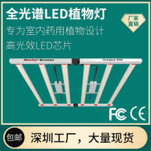 LEDֲʡ늴֦ѷNֲLaIP65