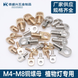 Copper screw copper hanging lug lamp belt fixing buckle plant lamp screw brass column copper hook hardware accessories