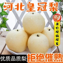 �ӱ��ʹ��摪�����rˮ����Fժ5/10���b������]������ѩ��Xɽ��