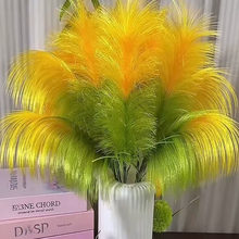 �JȔ�ݻ��ֹ�����diy���ϰ�ȫ�׽z���ʎ����ٻ� �Լ������̳�