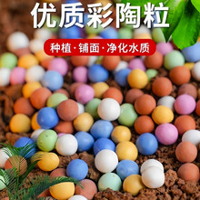 ?ɫÉ|ʯ͸ˮ໨ܶIBN