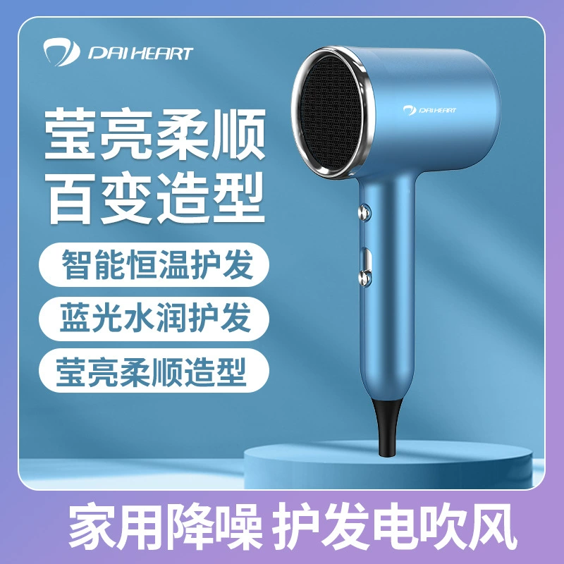 Zhuimai Hair Dryer Negative Ion Hair Dryer Household Hair Care Dormitory Student Hair Dryer High-speed Wind Dry