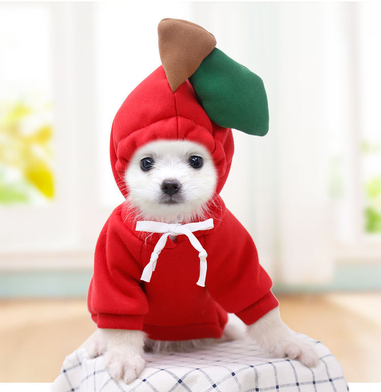 OEM personalizado perro gato mascota Otoño e Invierno fleece lindo Rana con capucha suéter pequeño mediano perro grande