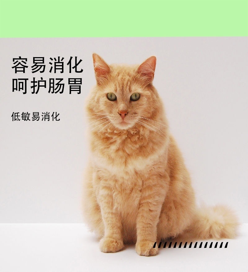 8c1138e7-c1d0-411c-8308-e0aa48ae6a76.jpe