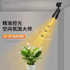 小ビーム角軌道灯明装調整角度博物館レストランバースポットライト集光雰囲気灯調整焦点