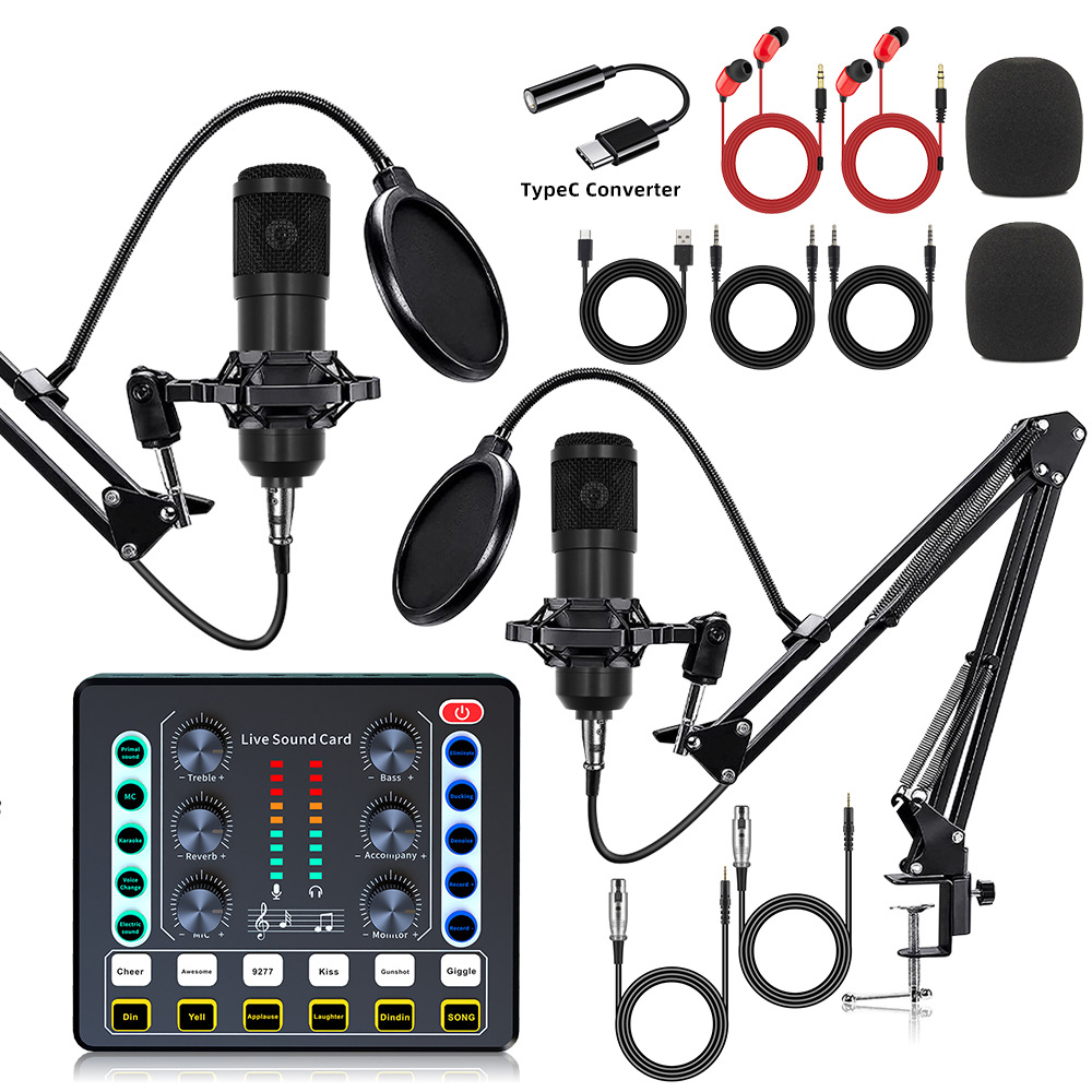 With Typec Dual Microphone Bm800 Condenser Microphone English Sound Card Equipment Live Broadcast Full Set of Mobile Phone Computer V8S
