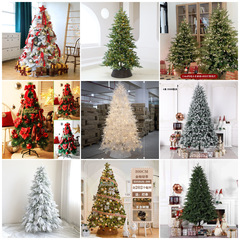 PVC製クリスマスツリー、密集した枝葉、クリスマスデコレーション、店舗装飾、人工緑化、発光ツリー、PE混合ツリー