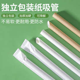 跨境牛皮纸吸管一次性食品级环保可降解独立包装吸管咖啡奶茶吸管