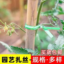 ��֦�����@ˇ����ֲ��̶��������������ܾ����z�X�z��ľ�����Gֲ