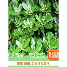 ��ͩ����ͥԺ�G����ͩ����G�h�ʇ�����ͩС�緼�����ļ�������B