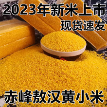 小米粥小黄米新米2023年黄小米内蒙赤峰敖汉苗K1小米香糯粘稠