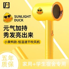 A Small Yellow Duck Hairdryer, Internet Celebrity Hammer Hairdryer, Household Ion Hairdryer, High Power Hairdryer, Dropshipping One Piece