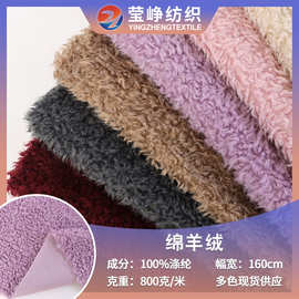 源头工厂绵羊绒圈圈绒卷曲仿羊毛绒布服装玩具毛毯家纺羊羔绒面料