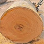 马拉古建工程烘干防腐木