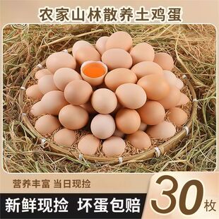 �r�ҹ����u�����r�r��ɢ�B���u�����u�����u���r�u���F�쵾�����b