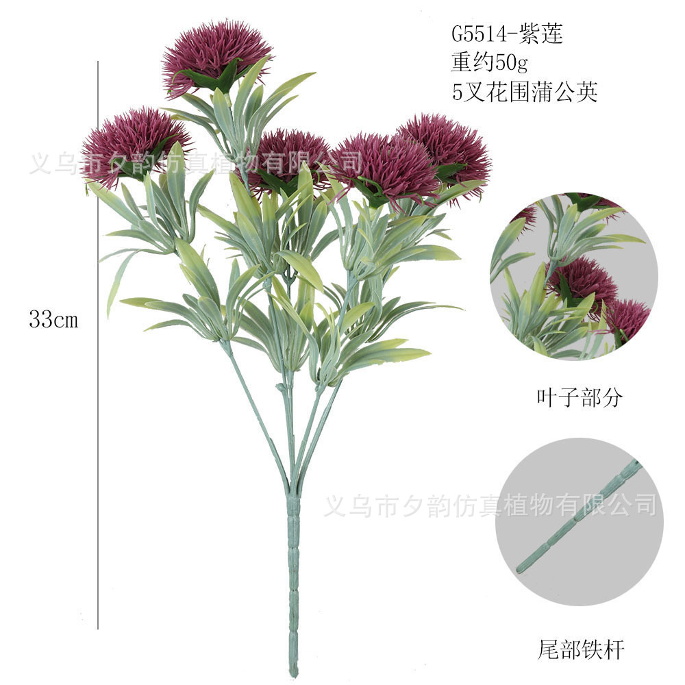 G5514-밀크 로터스 5갈래 꽃 민들레