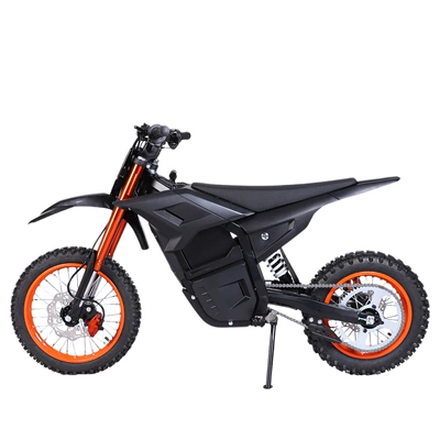 High-Speed, Sporty, and Long-Range, Elektrikli motosikletlər