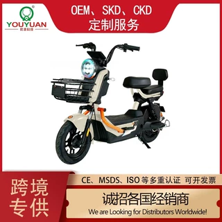 长城炮成人两轮电动自行车跨境出口批发热销电动车