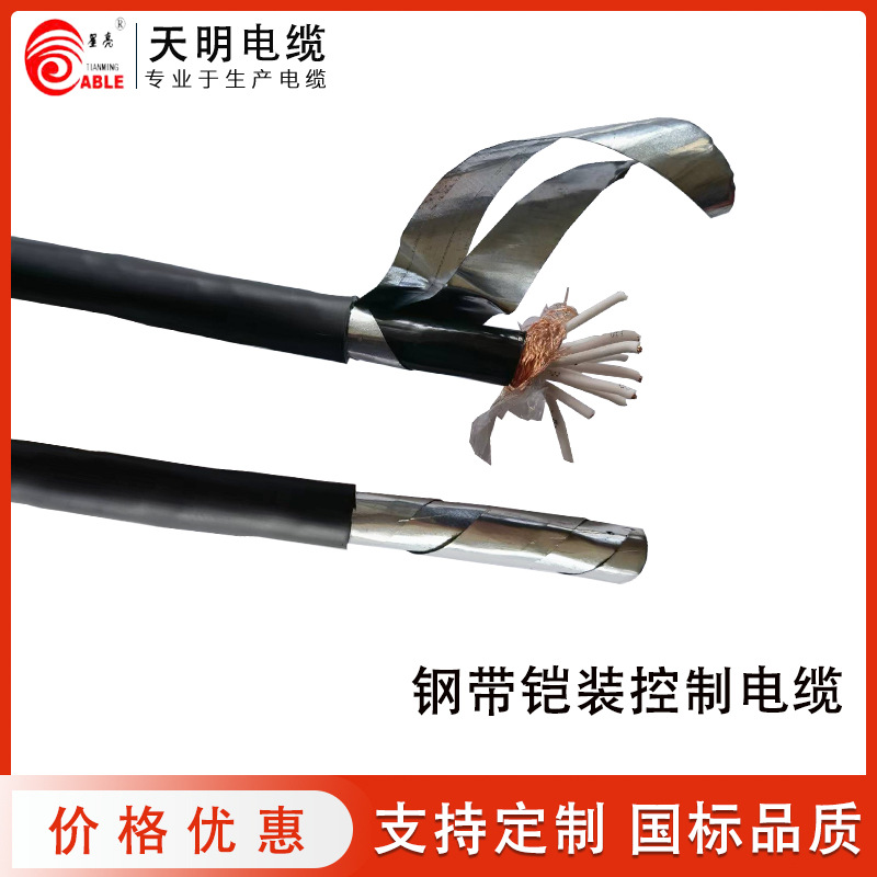 WDZN-KYJYP22 低烟无卤阻燃电缆 耐火电缆 屏蔽控制电缆 铠装电缆