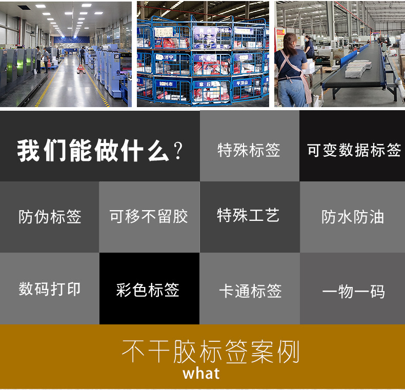 企业介绍1 (4).jpg