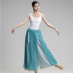 中国風の古典的なダンスの練習服の女性の広脚のズボンのふわふわしている二重のダンスのズボンのゆったりしたスカートのズボンの演出服