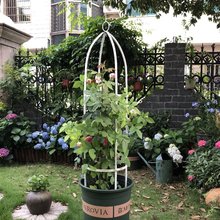 �F؛�������ټ܈@ˇ֧��ֲ�������ܽz���S���¼��F��ɏ����