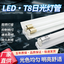 ����T8LED�չ�����܆ι��p��܇�g��ȫ��1.2��֧�ܟ������չ����