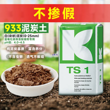 ����933�M����̿���Nֲ�����m����ϲ��ֲ���{ݮ���N���ԠI�B��