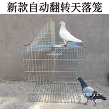 �¿�����\�Ԅӷ��D���D���ӻ\��\���P�Ӵּ���ײ�T�����B�\