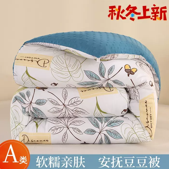 2024新款A类水洗棉豆豆被冬被春秋被被子被芯