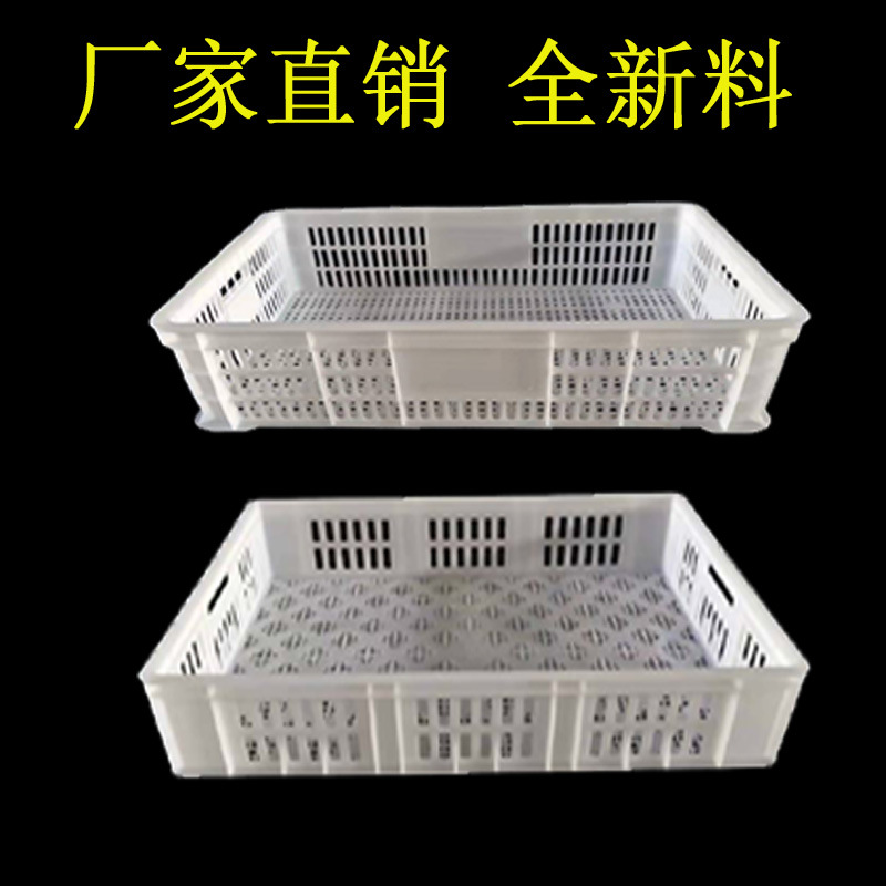 塑料周转筐 食品筐  鸭鹅苗筐箱 冷库筐鸡苗运输箱 量大优惠