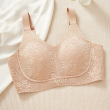 8095@СoȦŮȫֱܛ֧{ʹa