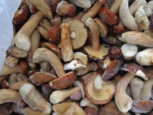 ��ϱ���Ұ����ţ�ξ���������[�t�[��ţ�ΰ�ţ����ζţ�������^