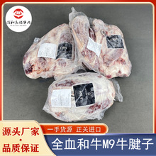 558SʯţţM9Xԭѩţţ