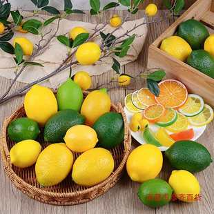 High Lemon Model Fake Fruit Green Lemon Yellow Lemon Early Education Props Decorative Foam Fruit and Vegetable Toys