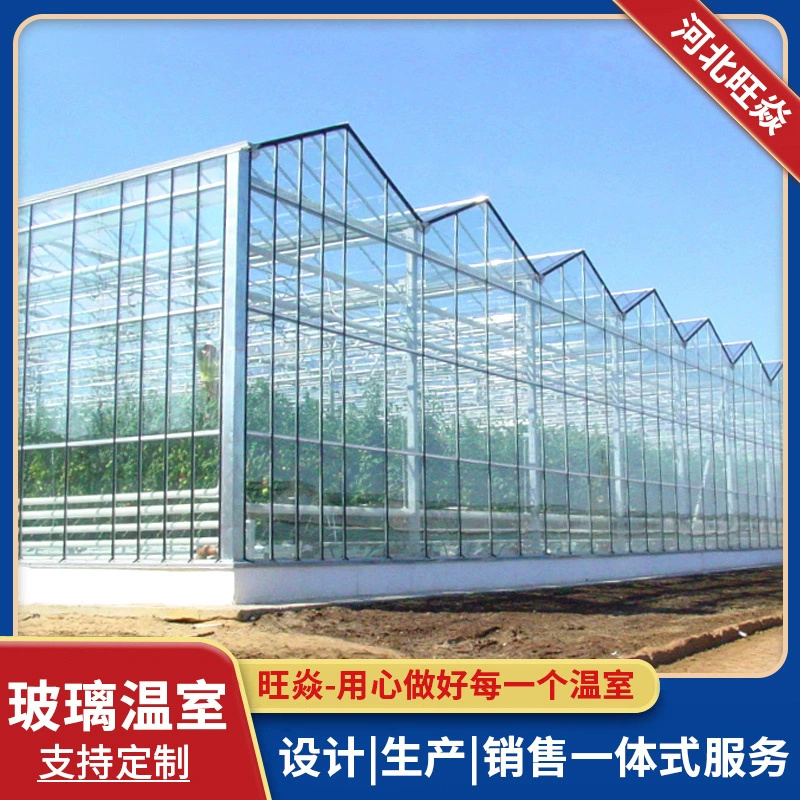 Интеллектуальные стеклянные теплицы для выращивания овощей и цветов, современные сельскохозяйственные теплицы, установка теплиц, каркас теплицы, теплый сарай.