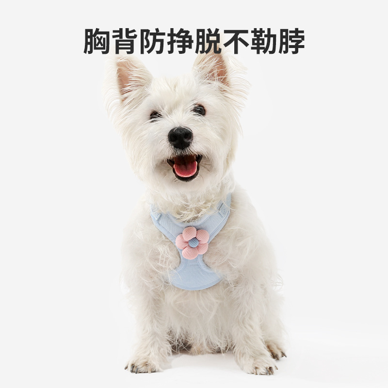 Chaleco para mascotas, cuerda de tracción, accesorios tridimensionales de dibujos animados para perros, teddy paseando a los perros, cuerda, gato, salir, evitar que el pecho y la espalda se liberen