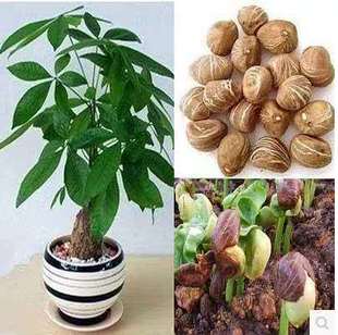 �lؔ��N���ļ��҃Ȼ��ܾGֲ���ԷN����ؔ������N���׷Nֲ