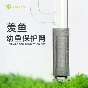 ���~�^�V���P��Mˮ�ڱ��o���������r���~���o�W�ַ����~�^�V�W