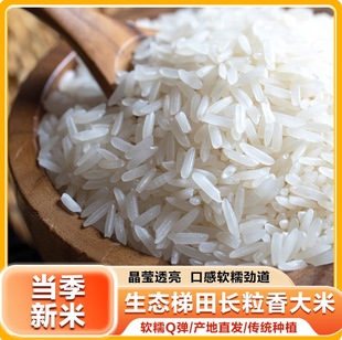 �F���L�״��׵���5kg�����L�����״���10���L���������������